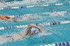Swimming & Diving vs RWU  Swimming & Diving vs Roger Williams University. - Photo by Keith Nordstrom : Wheaton, Swimming